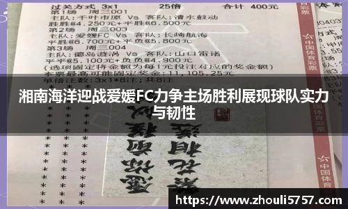 湘南海洋迎战爱媛FC力争主场胜利展现球队实力与韧性